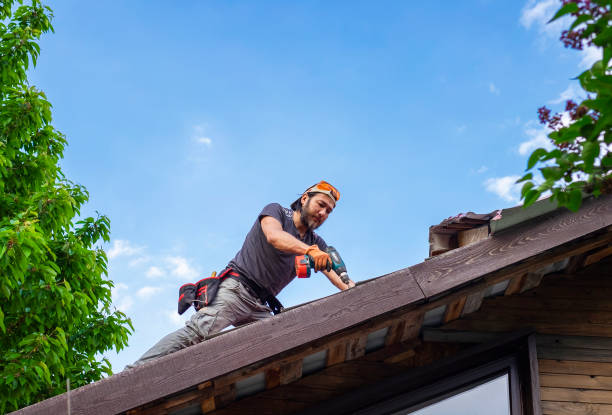 Best Solar Panel Roofing Installation  in Oak Hill, TN